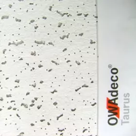Owa Taurus 600х600х12